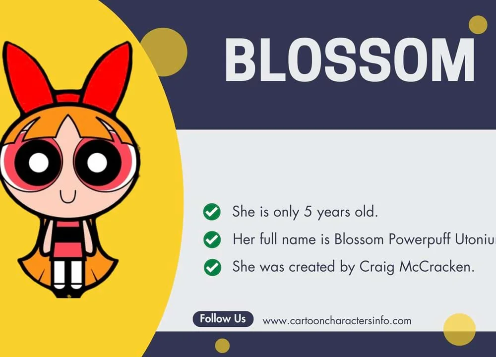 Blossom from the powerpuff Girls Blossom Infographic
